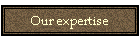 Our expertise