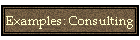 Examples: Consulting