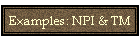 Examples: NPI & TM